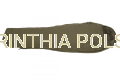 Tactical-Group-Carinthia-Polska-Spiwor-Termoizolacja-G-Loft-Wilderness-Sleeping-Bag-Olive-SS92011-2.png