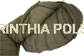Tactical-Group-Carinthia-Polska-Spiwor-Termoizolacja-G-Loft-Wilderness-Sleeping-Bag-Olive-SS92011-12.png