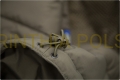 Tactical-Group-Carinthia-Polska-Kurtka-Termoizolacyjna-G-Loft-Mig-4.0-Olive-MG4201-19.jpg